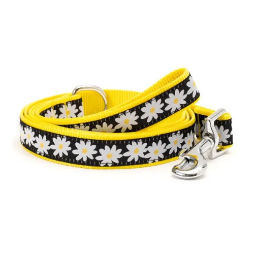 Black Lazy Daisy Lead